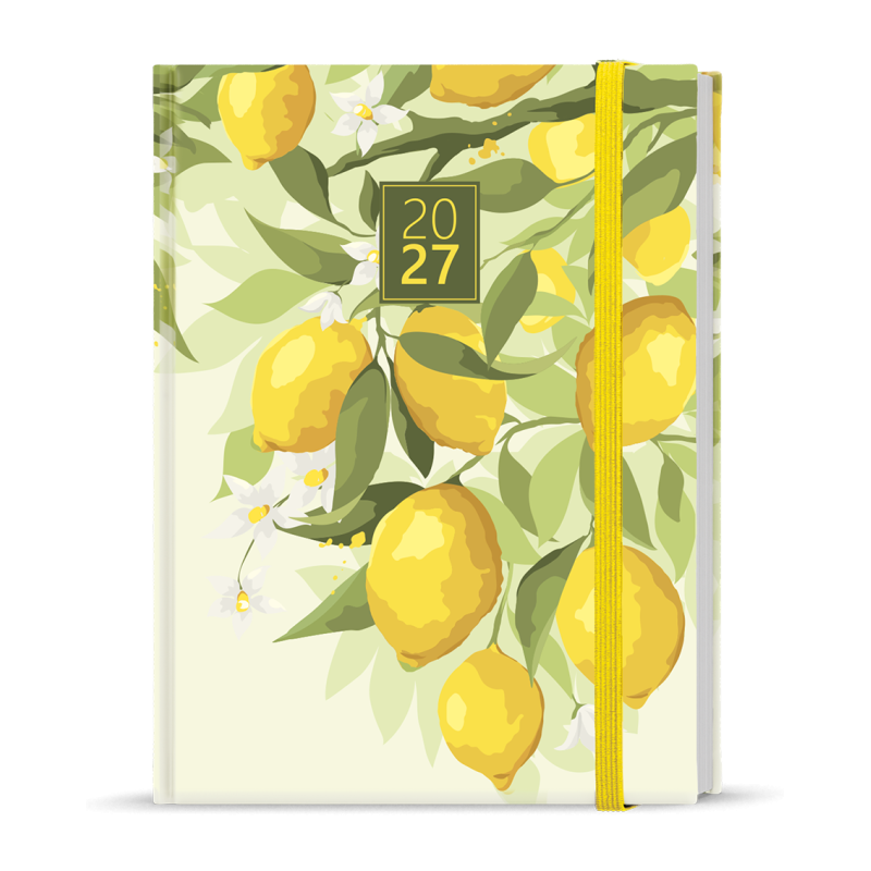 Denní diář - Adam - Lamino - B6 - Citron
