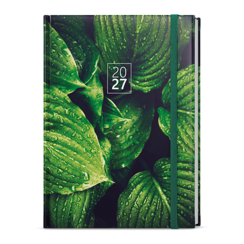 Denní diář - David - Lamino - A5 - Listy