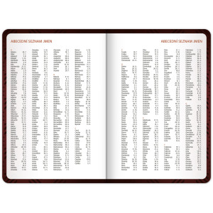 NOTIQUE Studentský diář Harry Potter (září 2026 – prosinec 2027), 9,8 x 14,5 cm