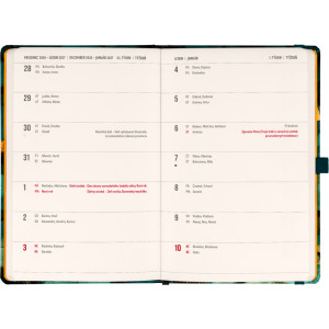 NOTIQUE Planbook diář/notes Kočka 2027, 13 x 21 cm