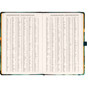 NOTIQUE Planbook diář/notes Kočka 2027, 13 x 21 cm