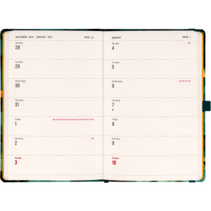 NOTIQUE Planbook planner/notebook Cat 2027, 13 x 21 cm