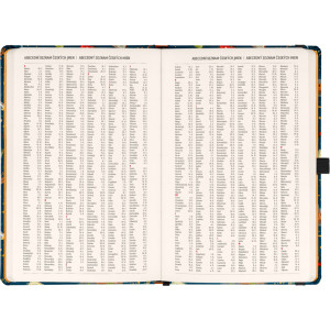 NOTIQUE Planbook diář/notes Harry Potter –  Bradavický expres 2027, 13 x 21 cm