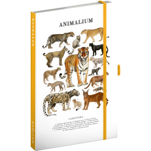 NOTIQUE Notes Animalium – Kočkovité šelmy, linkovaný, 13 x 21 cm