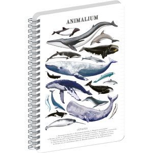 NOTIQUE Spirálový blok Animalium – Pod mořem, linkovaný, A5