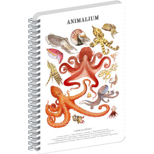 NOTIQUE Spirálový blok Animalium – Hlavonožci, linkovaný, A4