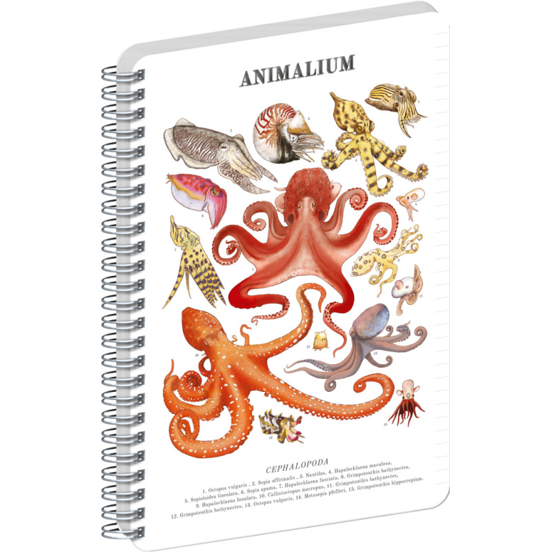 NOTIQUE Spirálový blok Animalium – Hlavonožci, linkovaný, A4