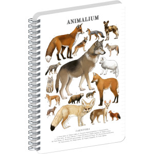 NOTIQUE Spirálový blok Animalium – Psovité šelmy, linkovaný, A4
