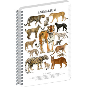 NOTIQUE Spirálový blok Animalium – Kočkovité šelmy, čtverečkovaný, A5