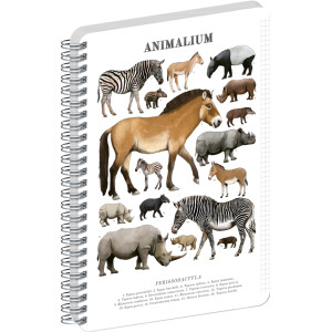 NOTIQUE Spirálový blok Animalium – Lichokopytníci, čtverečkovaný, A5