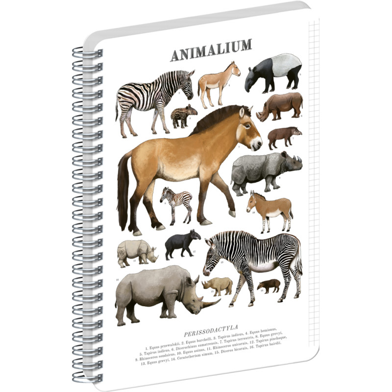 NOTIQUE Spirálový blok Animalium – Lichokopytníci, čtverečkovaný, A5