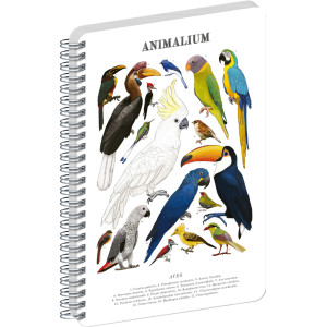 NOTIQUE Spirálový blok Animalium – Ptáci, čistý, A5