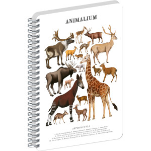 NOTIQUE Spirálový blok Animalium – Sudokopytníci, čistý, A4