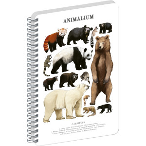 NOTIQUE Spirálový blok Animalium – Medvědovité šelmy, čistý, A5