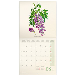 NOTIQUE Poznámkový kalendář Herbář 2027, PLASTIC FREE, 30 x 30 cm