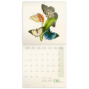 NOTIQUE Poznámkový kalendář Motýli 2027, PLASTIC FREE, 30 x 30 cm