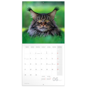 NOTIQUE Grid calendar Cats 2027, 30 x 30 cm