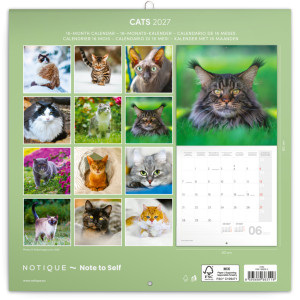 NOTIQUE Grid calendar Cats 2027, 30 x 30 cm