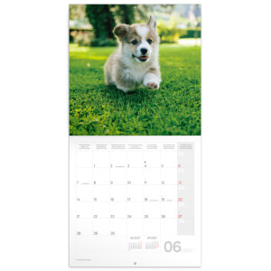 NOTIQUE Grid calendar Animal Cuties 2027, 30 x 30 cm