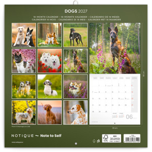 NOTIQUE Grid calendar Dogs 2027, 30 x 30 cm