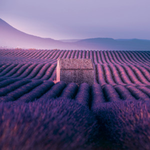 NOTIQUE Grid calendar Provence 2027, 30 x 30 cm