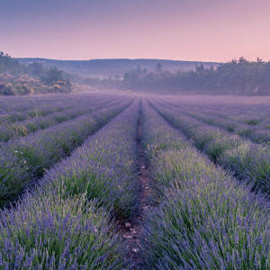 NOTIQUE Grid calendar Provence 2027, 30 x 30 cm
