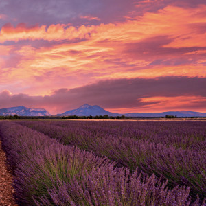 NOTIQUE Grid calendar Provence 2027, 30 x 30 cm