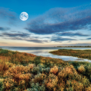NOTIQUE Grid calendar The Moon 2027, 30 x 30 cm