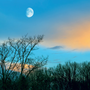 NOTIQUE Grid calendar The Moon 2027, 30 x 30 cm