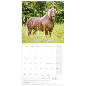 NOTIQUE Grid calendar Horses – Christiane Slawik 2027, 30 x 30 cm