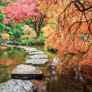 NOTIQUE Grid calendar Gardens 2027, 30 x 30 cm