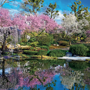 NOTIQUE Grid calendar Gardens 2027, 30 x 30 cm