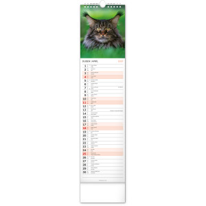 NOTIQUE Nástěnný kalendář Kočky 2027, 12 x 48 cm