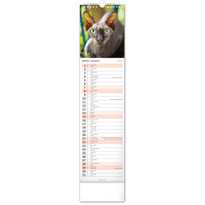 NOTIQUE Nástěnný kalendář Kočky 2027, 12 x 48 cm