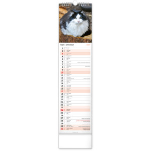 NOTIQUE Nástěnný kalendář Kočky 2027, 12 x 48 cm