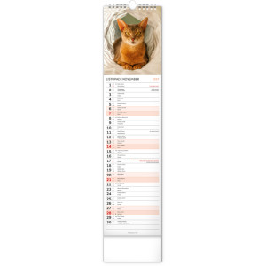 NOTIQUE Nástěnný kalendář Kočky 2027, 12 x 48 cm