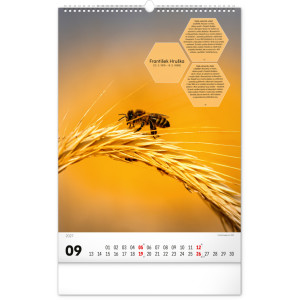 NOTIQUE Nástěnný kalendář Včelařský – Včelársky CZ/SK 2027, 33 x 46 cm