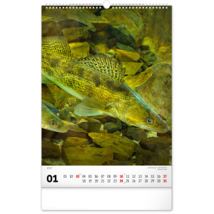 NOTIQUE Nástěnný kalendář Rybářský – Rybársky CZ/SK 2027, 33 x 46 cm