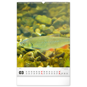 NOTIQUE Nástěnný kalendář Rybářský – Rybársky CZ/SK 2027, 33 x 46 cm