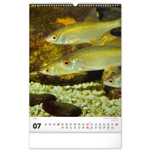 NOTIQUE Nástěnný kalendář Rybářský – Rybársky CZ/SK 2027, 33 x 46 cm