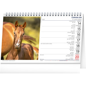 NOTIQUE Stolní kalendář Koně – Kone CZ/SK 2027, 23,1 x 14,5 cm