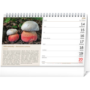 NOTIQUE Stolový kalendár Huby 2027, 23,1 x 14,5 cm