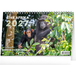 NOTIQUE Stolní kalendář Živá Afrika 2027, 23,1 x 14,5 cm