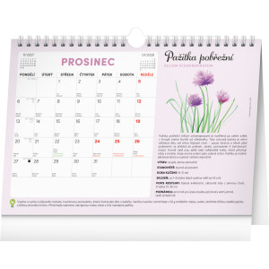 NOTIQUE Měsíční plánovací kalendář se semínky 2027, 30 x 21 cm