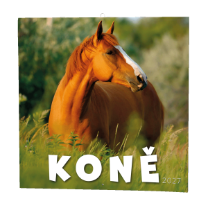 Nástěnný kalendář - Koně